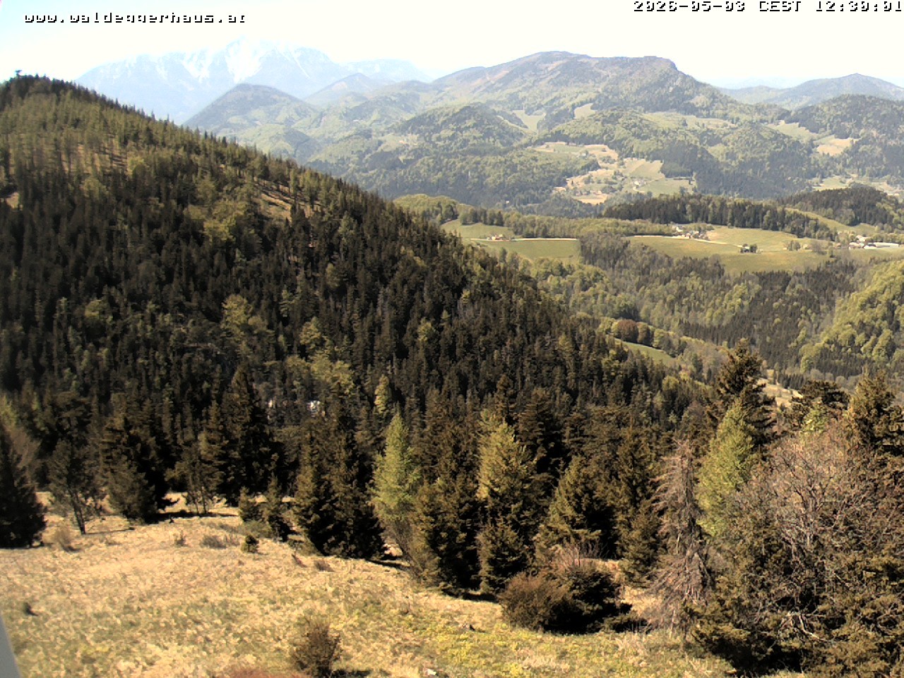 Archiv Foto Webcam Gasthof Waldeggerhaus