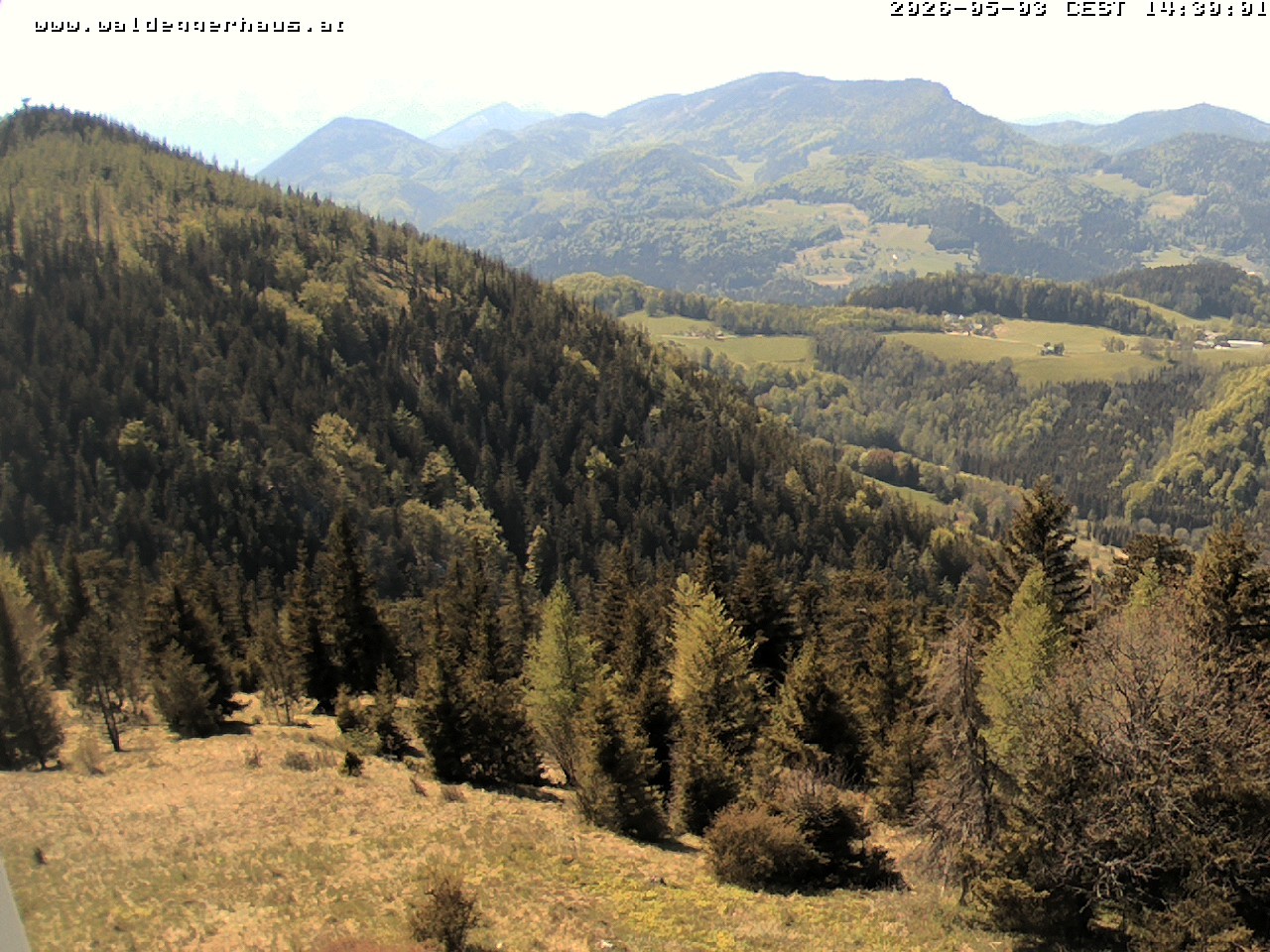 Archiv Foto Webcam Gasthof Waldeggerhaus