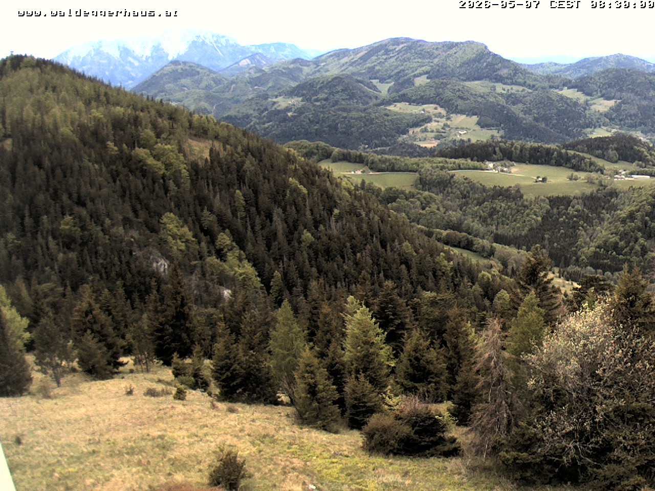 Archiv Foto Webcam Gasthof Waldeggerhaus