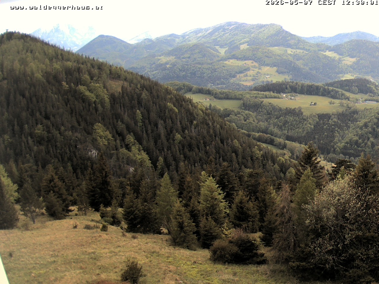 Archiv Foto Webcam Gasthof Waldeggerhaus