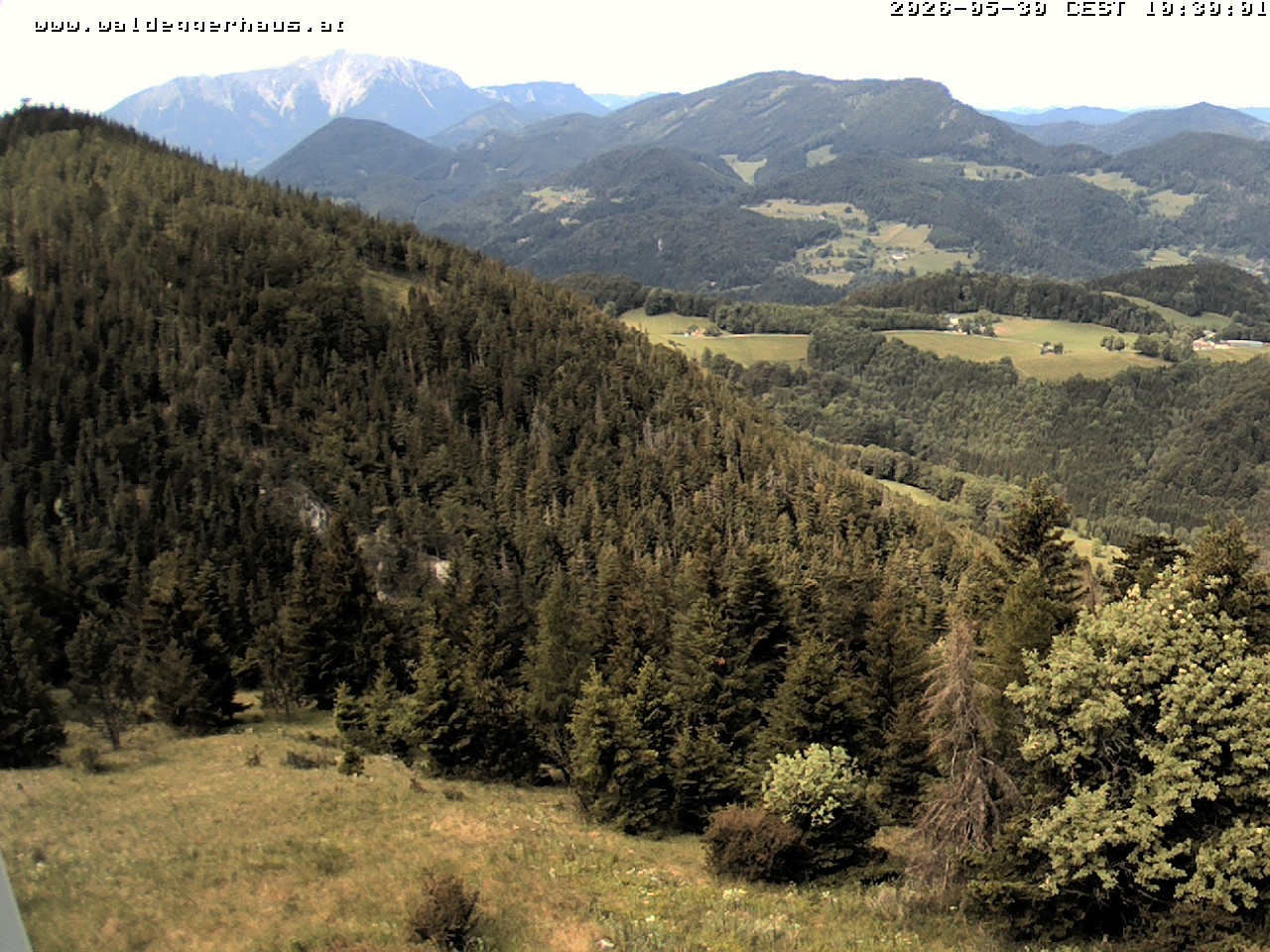 Archiv Foto Webcam Gasthof Waldeggerhaus