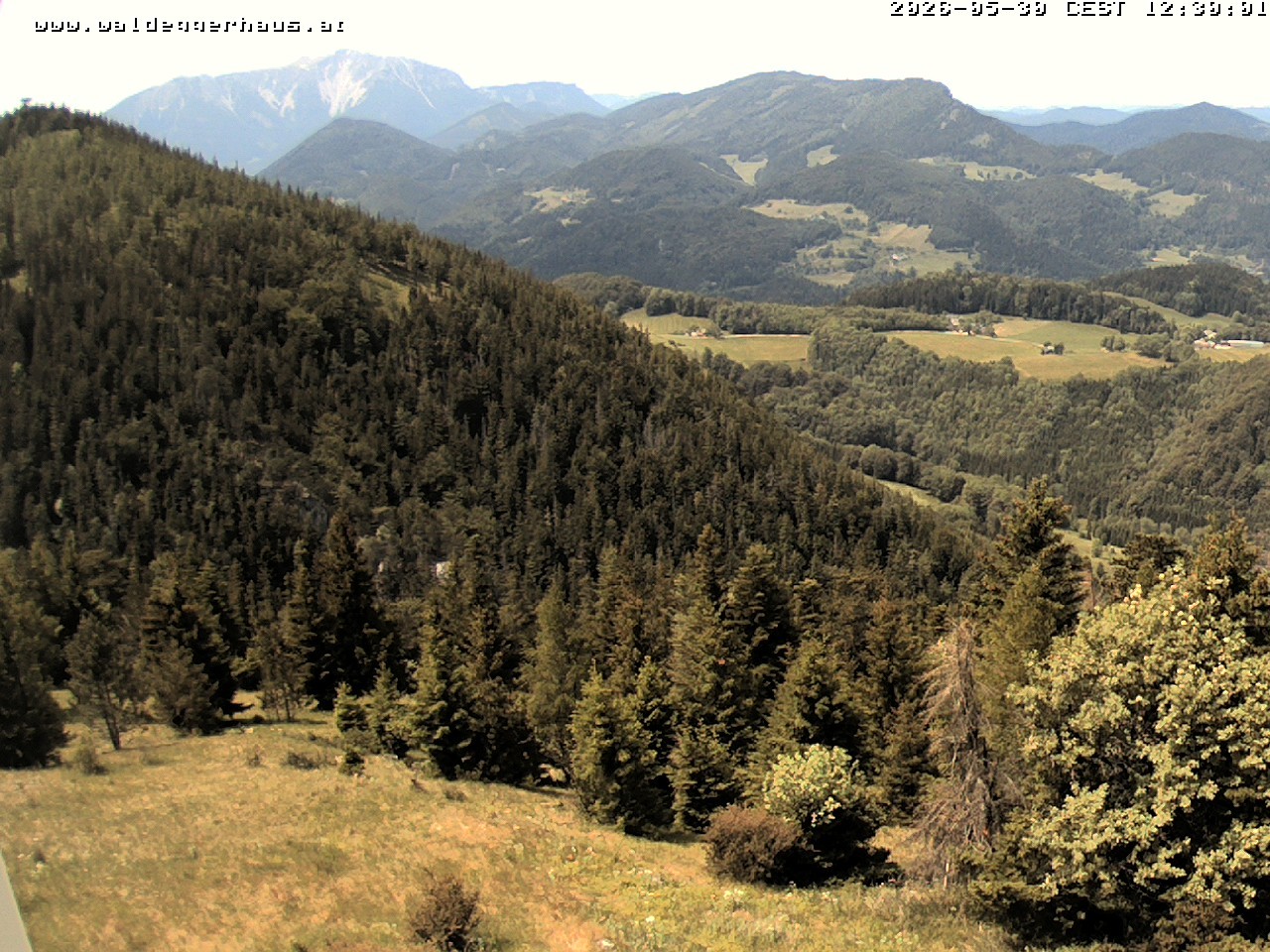 Archiv Foto Webcam Gasthof Waldeggerhaus