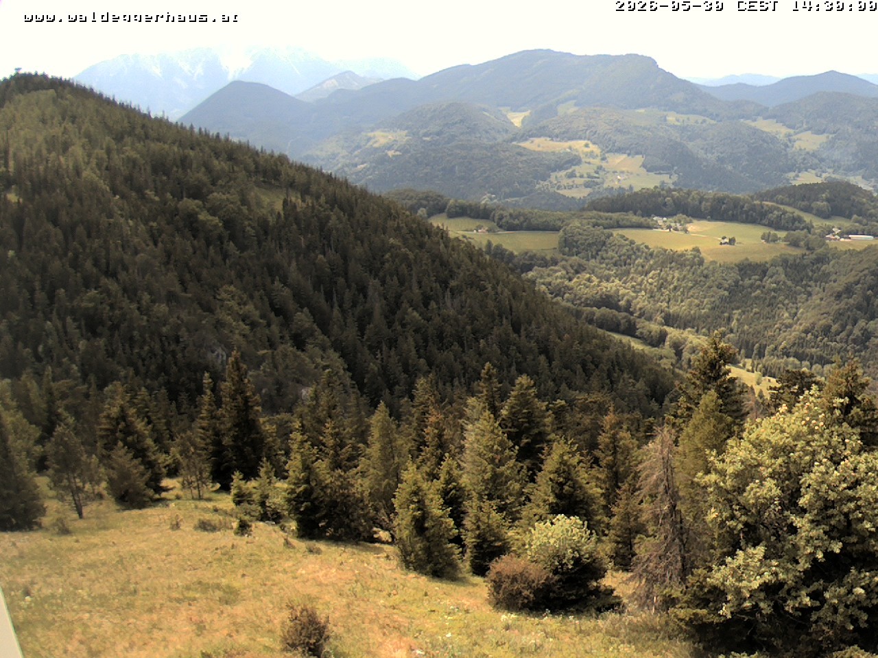 Archiv Foto Webcam Gasthof Waldeggerhaus