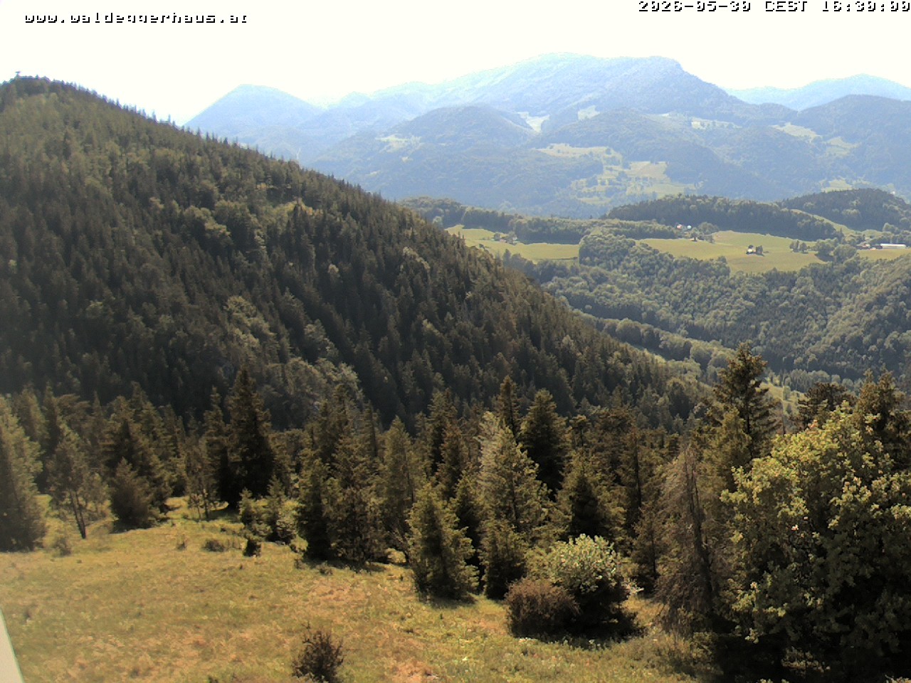 Archiv Foto Webcam Gasthof Waldeggerhaus