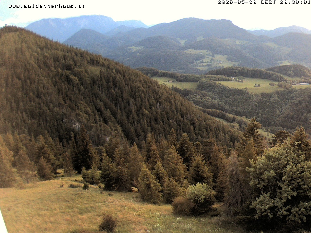 Archiv Foto Webcam Gasthof Waldeggerhaus
