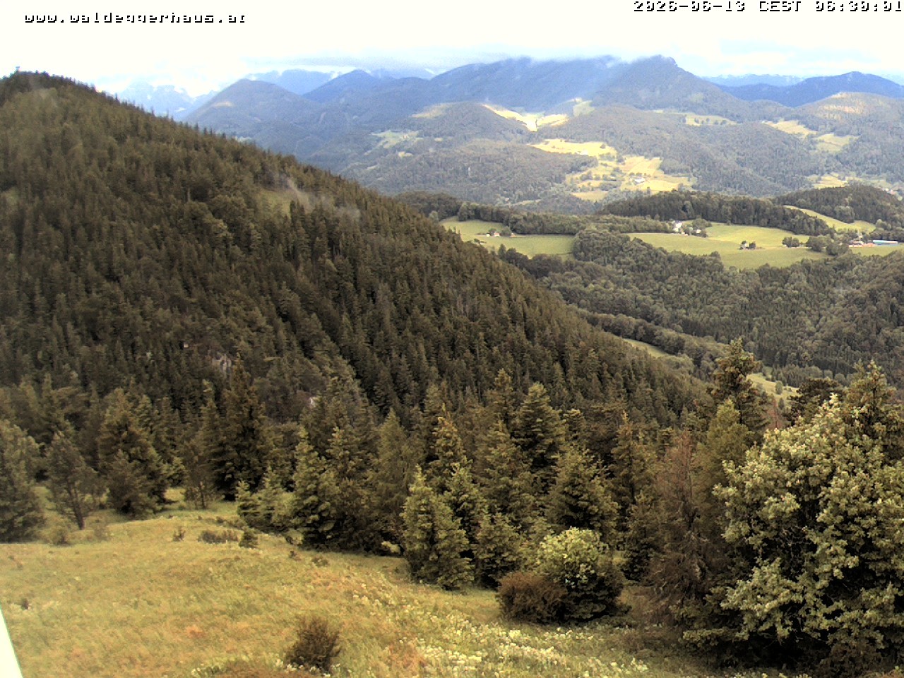 Archiv Foto Webcam Gasthof Waldeggerhaus