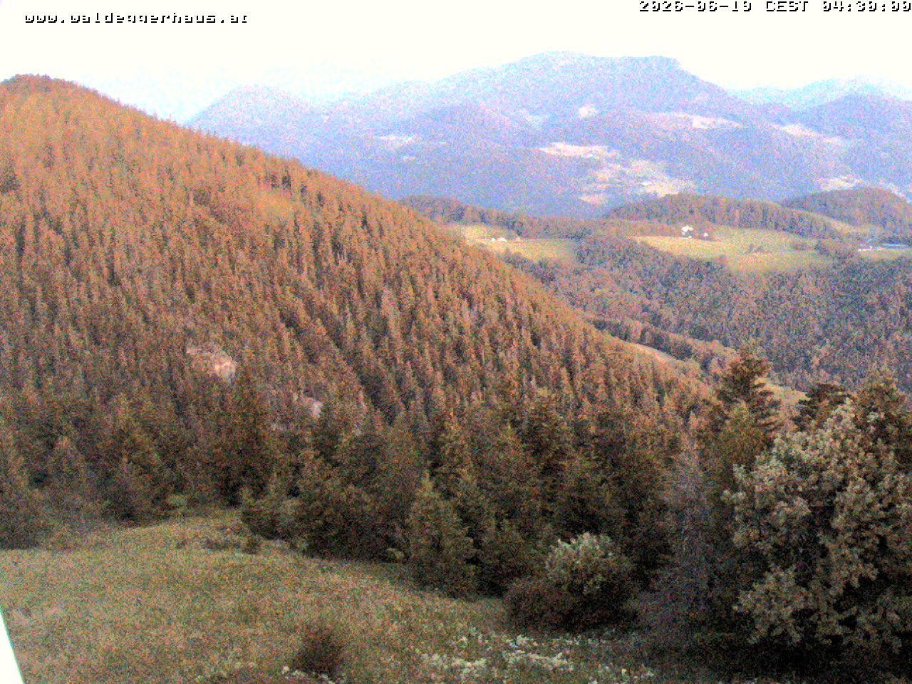 Archived image Webcam Restaurant Waldeggerhaus "Hohe Wand"