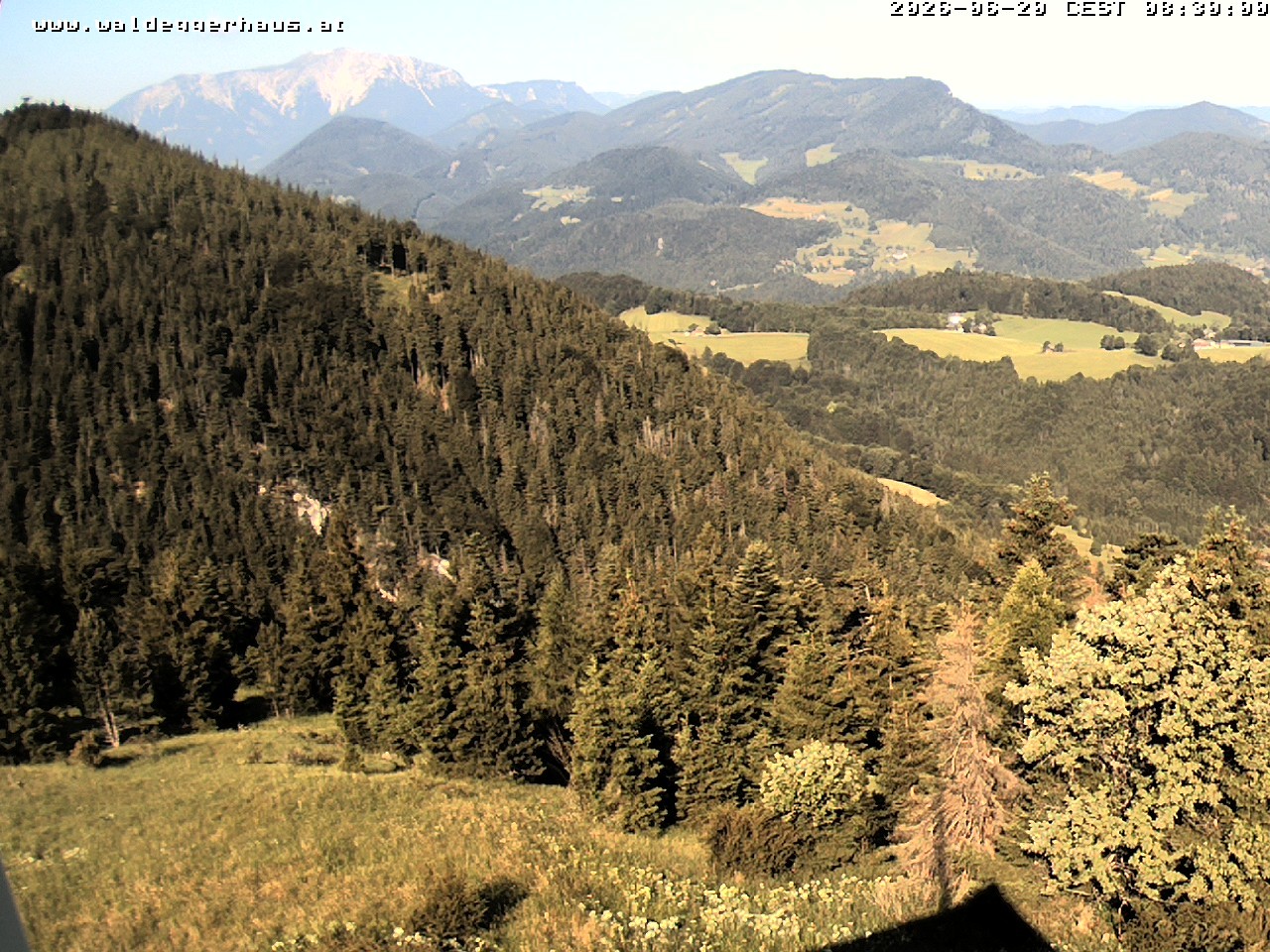 Archiv Foto Webcam Gasthof Waldeggerhaus