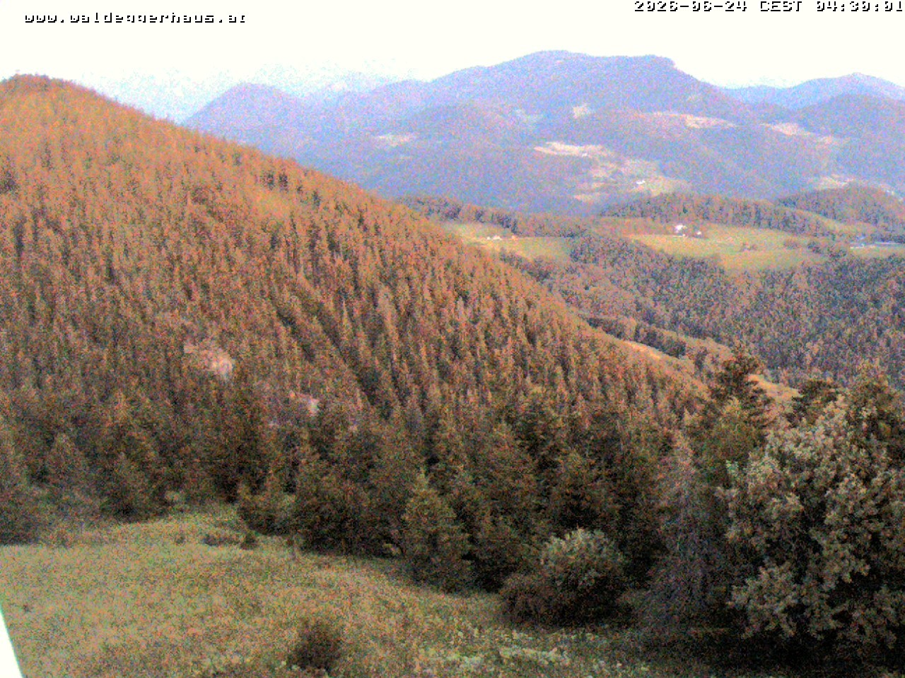 Archiv Foto Webcam Gasthof Waldeggerhaus