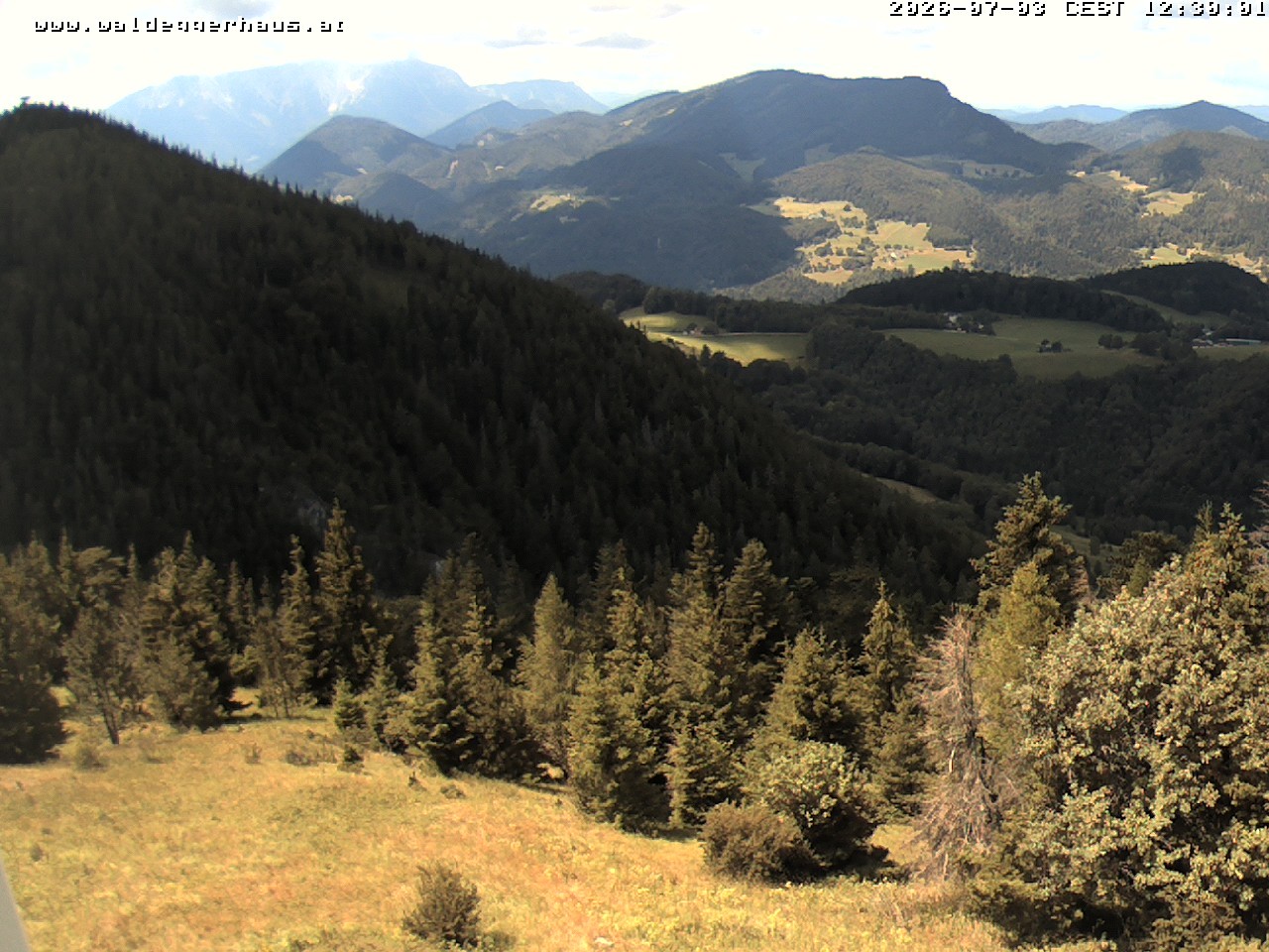 Archiv Foto Webcam Gasthof Waldeggerhaus