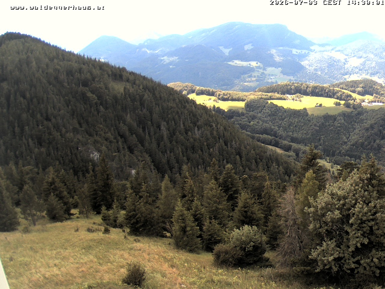 Archiv Foto Webcam Gasthof Waldeggerhaus