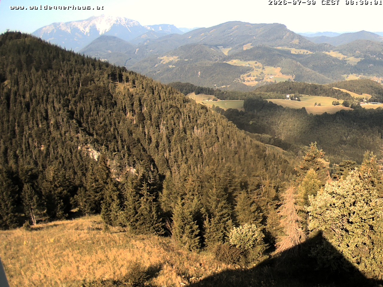 Archiv Foto Webcam Gasthof Waldeggerhaus