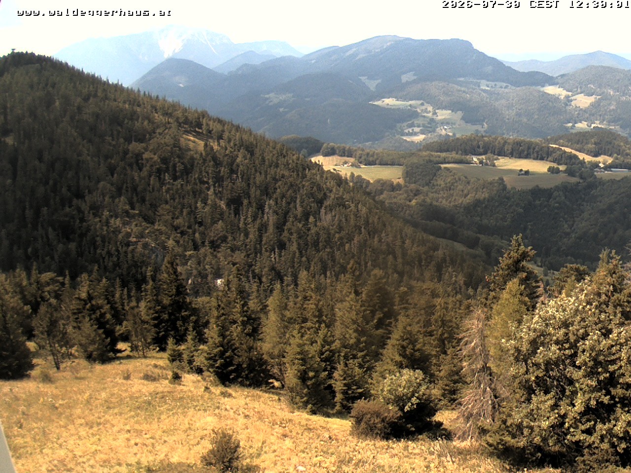 Archiv Foto Webcam Gasthof Waldeggerhaus