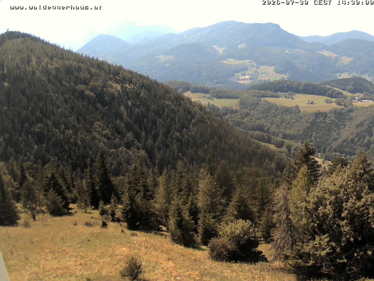 Archiv Foto Webcam Gasthof Waldeggerhaus