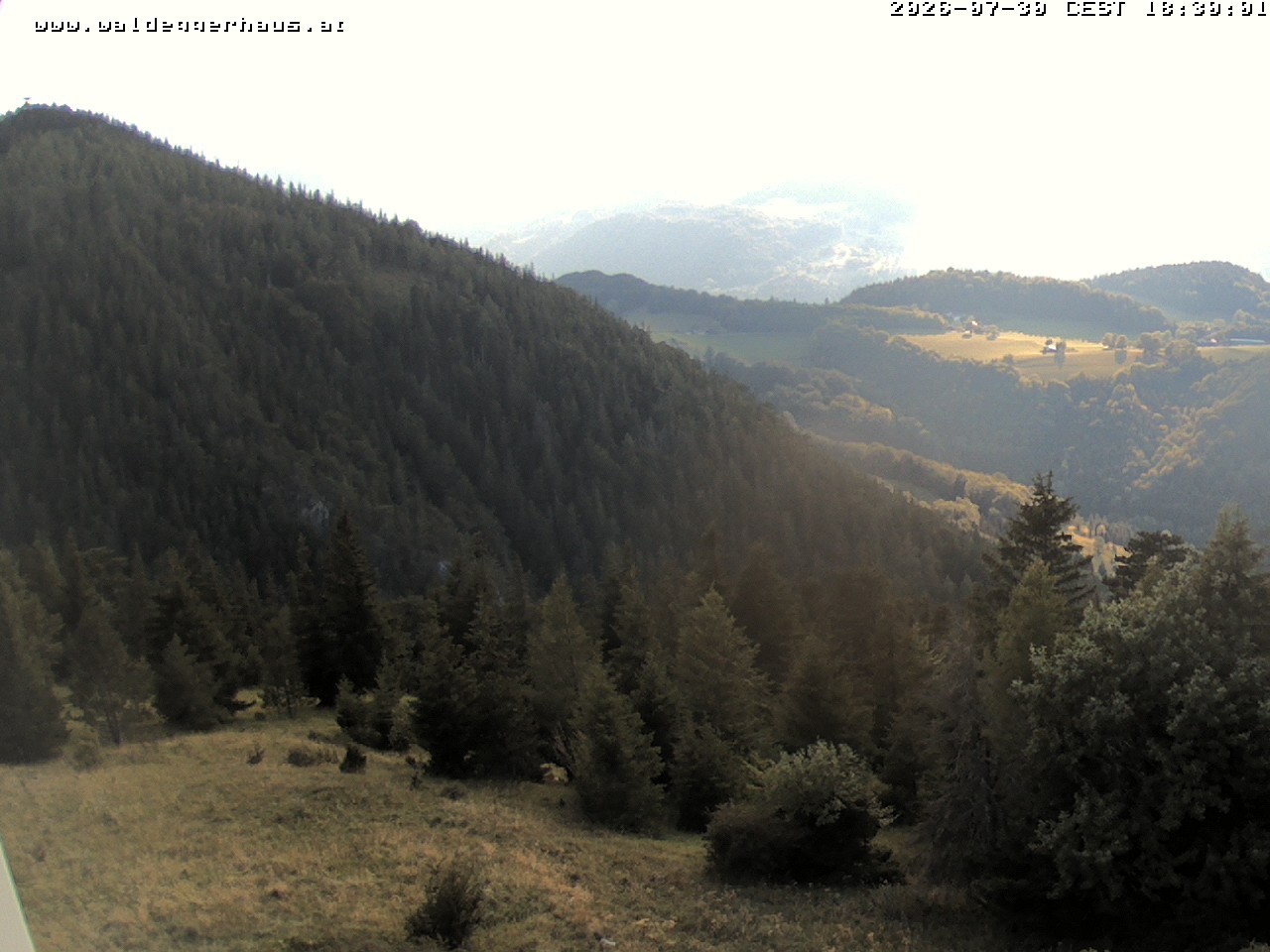 Archiv Foto Webcam Gasthof Waldeggerhaus