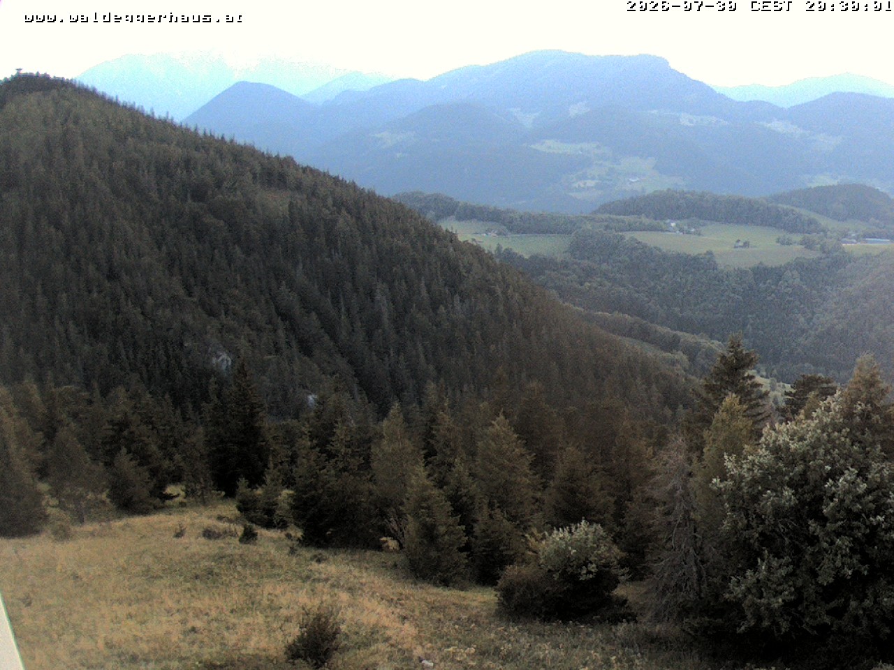 Archiv Foto Webcam Gasthof Waldeggerhaus