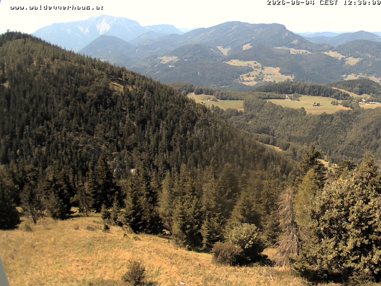 Archiv Foto Webcam Gasthof Waldeggerhaus