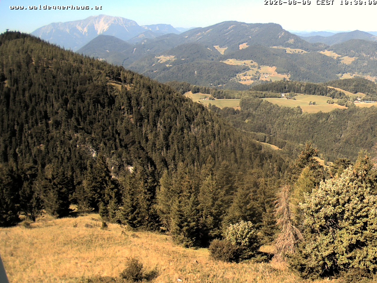 Archiv Foto Webcam Gasthof Waldeggerhaus