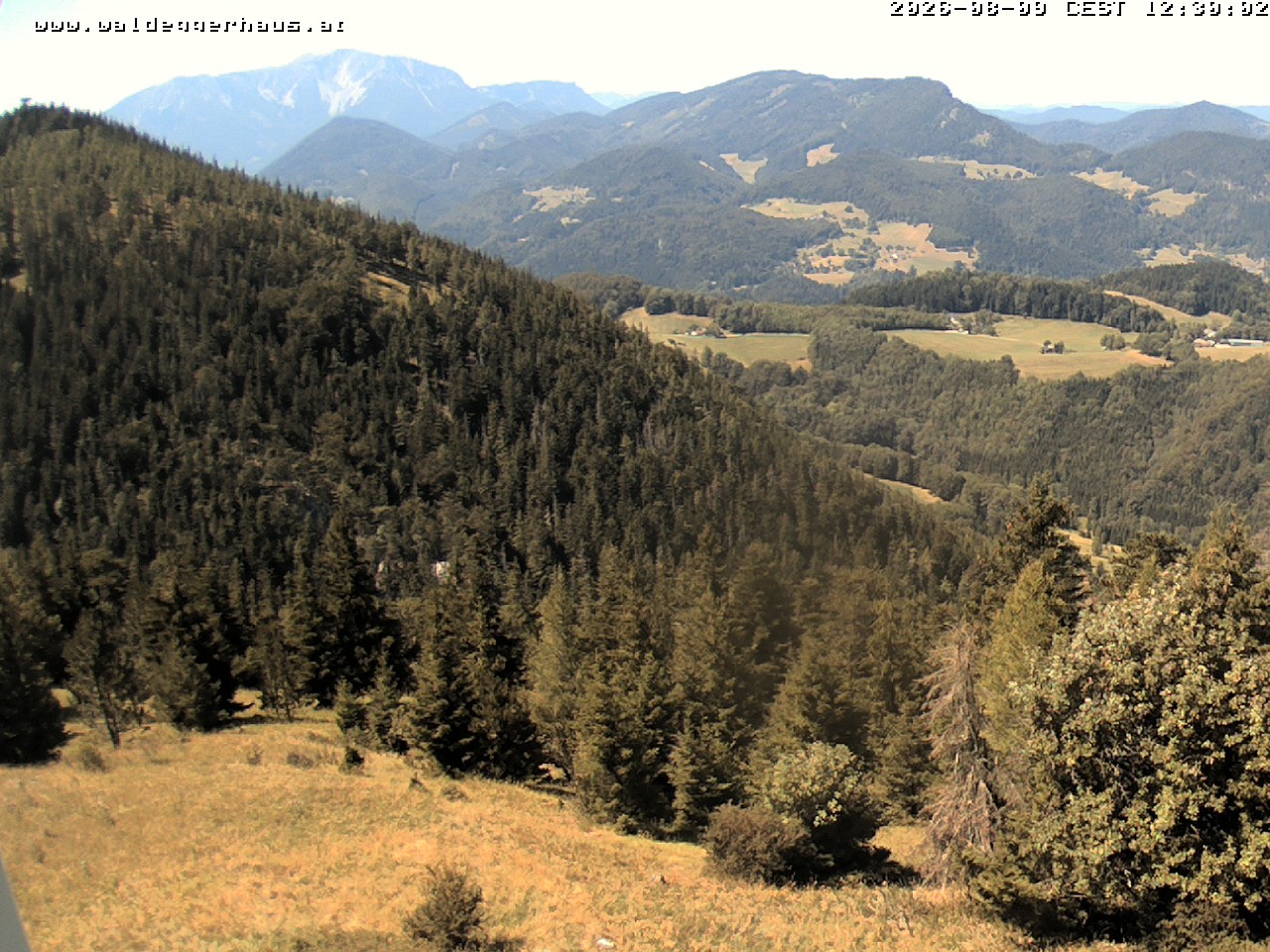 Archiv Foto Webcam Gasthof Waldeggerhaus