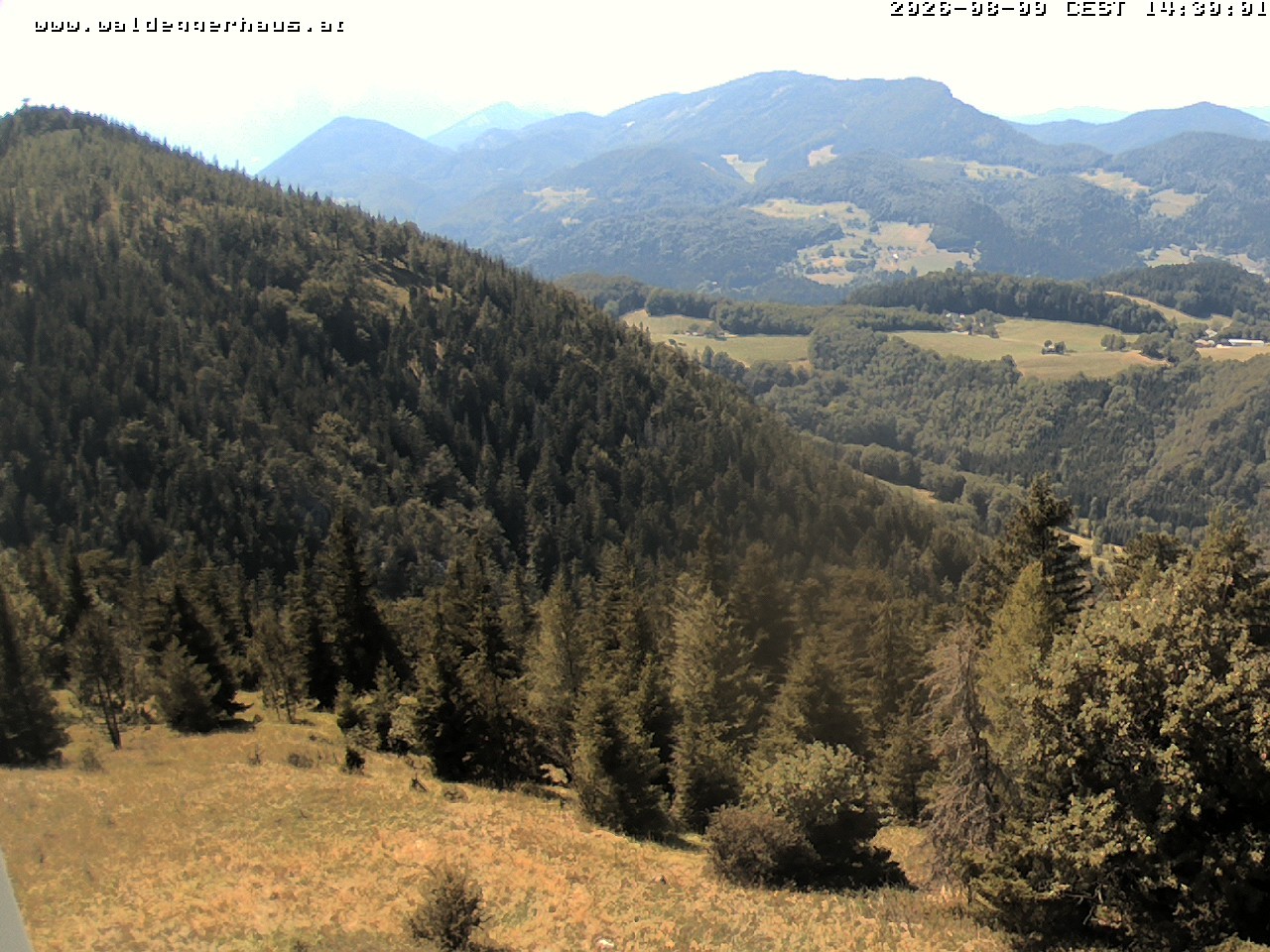 Archiv Foto Webcam Gasthof Waldeggerhaus