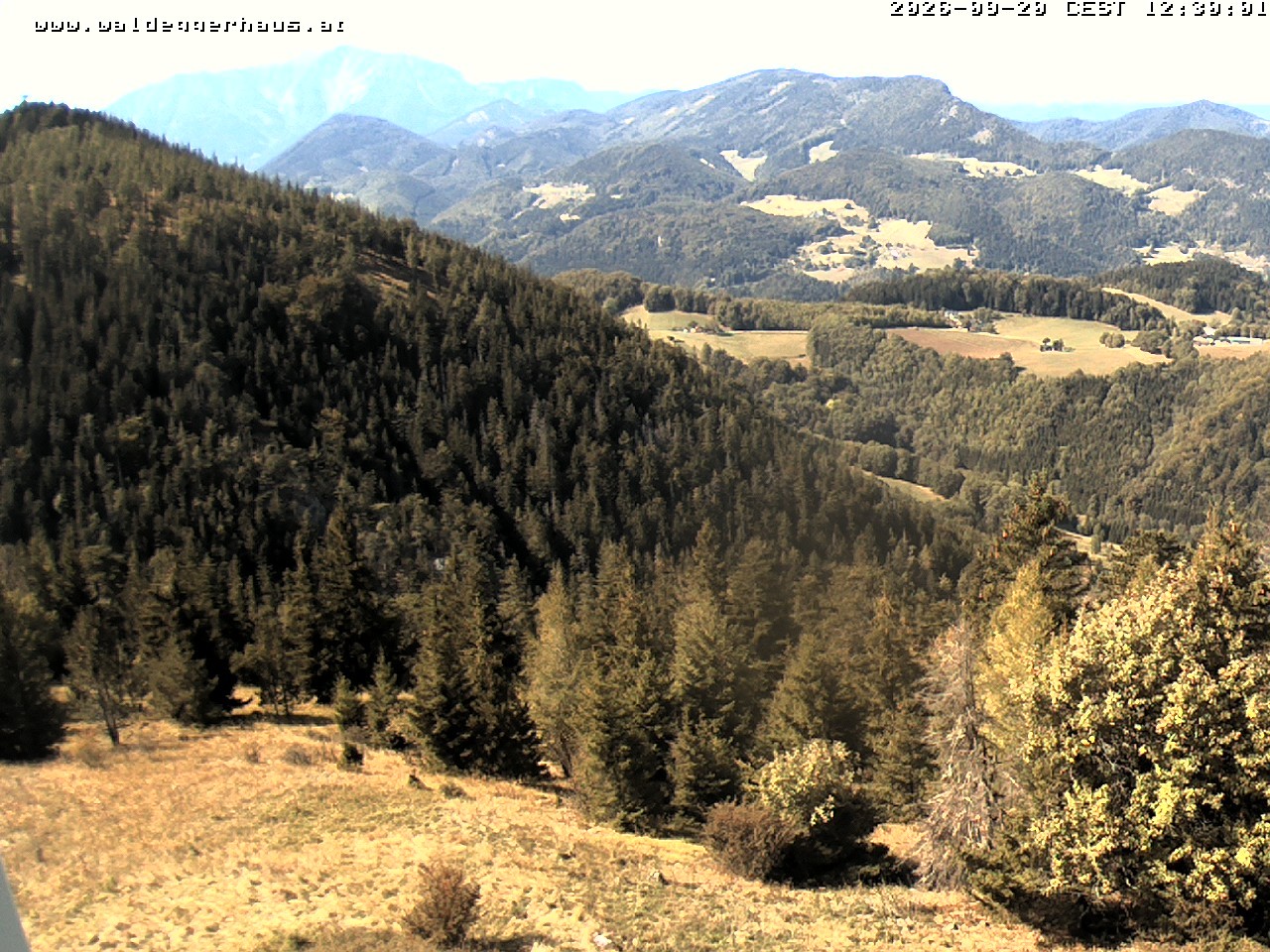 Archiv Foto Webcam Gasthof Waldeggerhaus