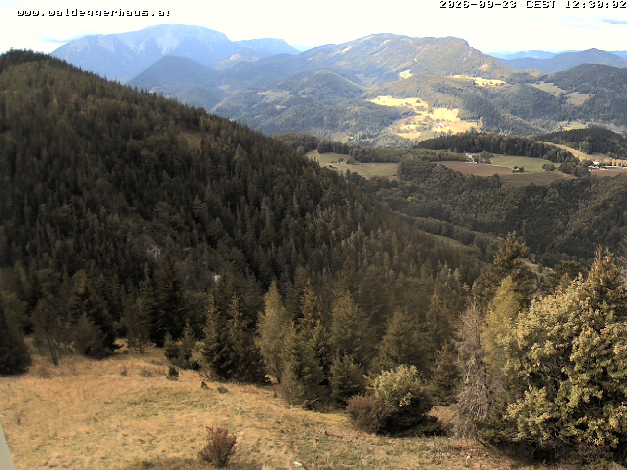 Archiv Foto Webcam Gasthof Waldeggerhaus