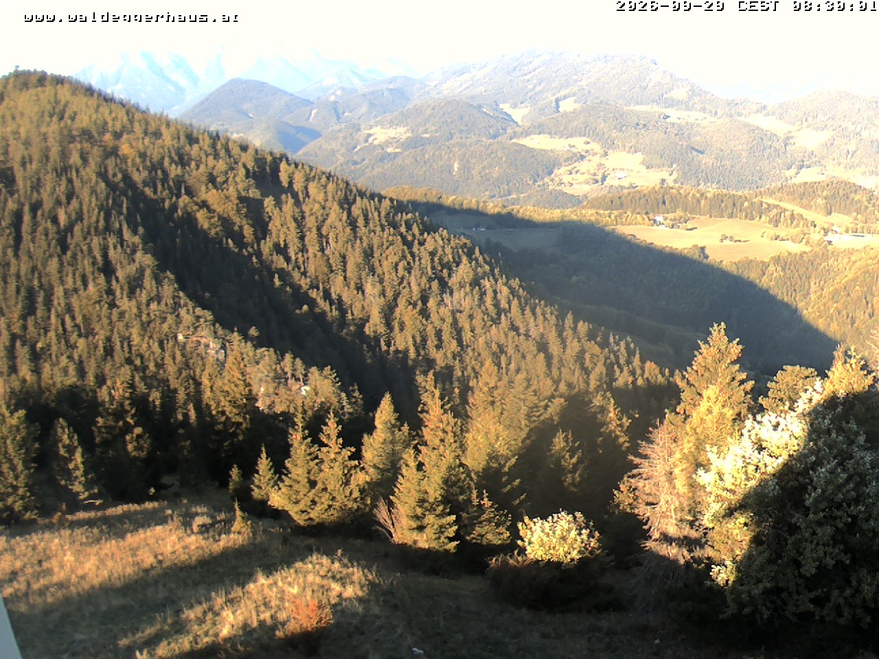 Archiv Foto Webcam Gasthof Waldeggerhaus