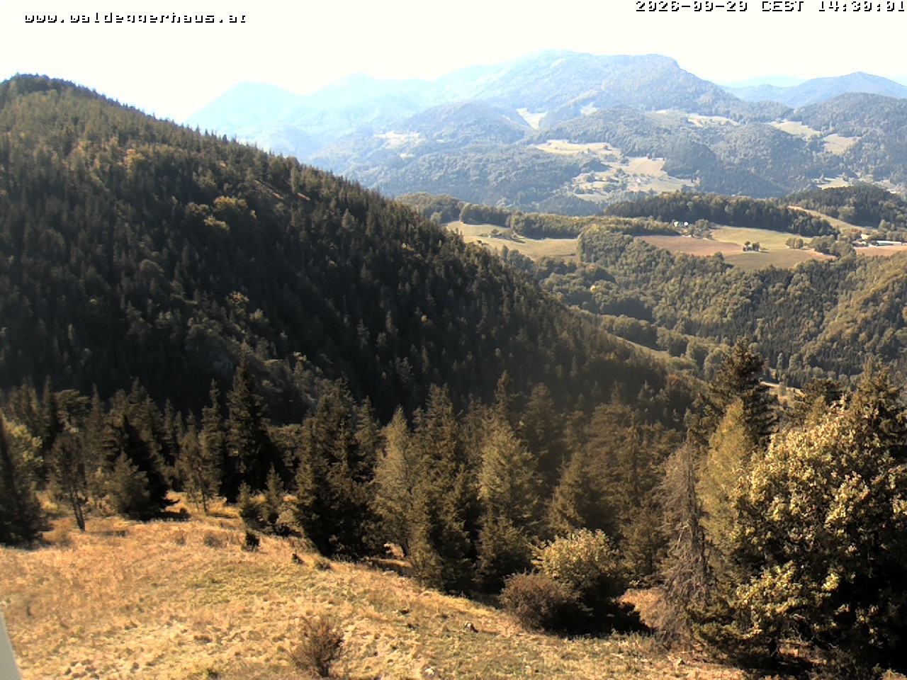 Archiv Foto Webcam Gasthof Waldeggerhaus