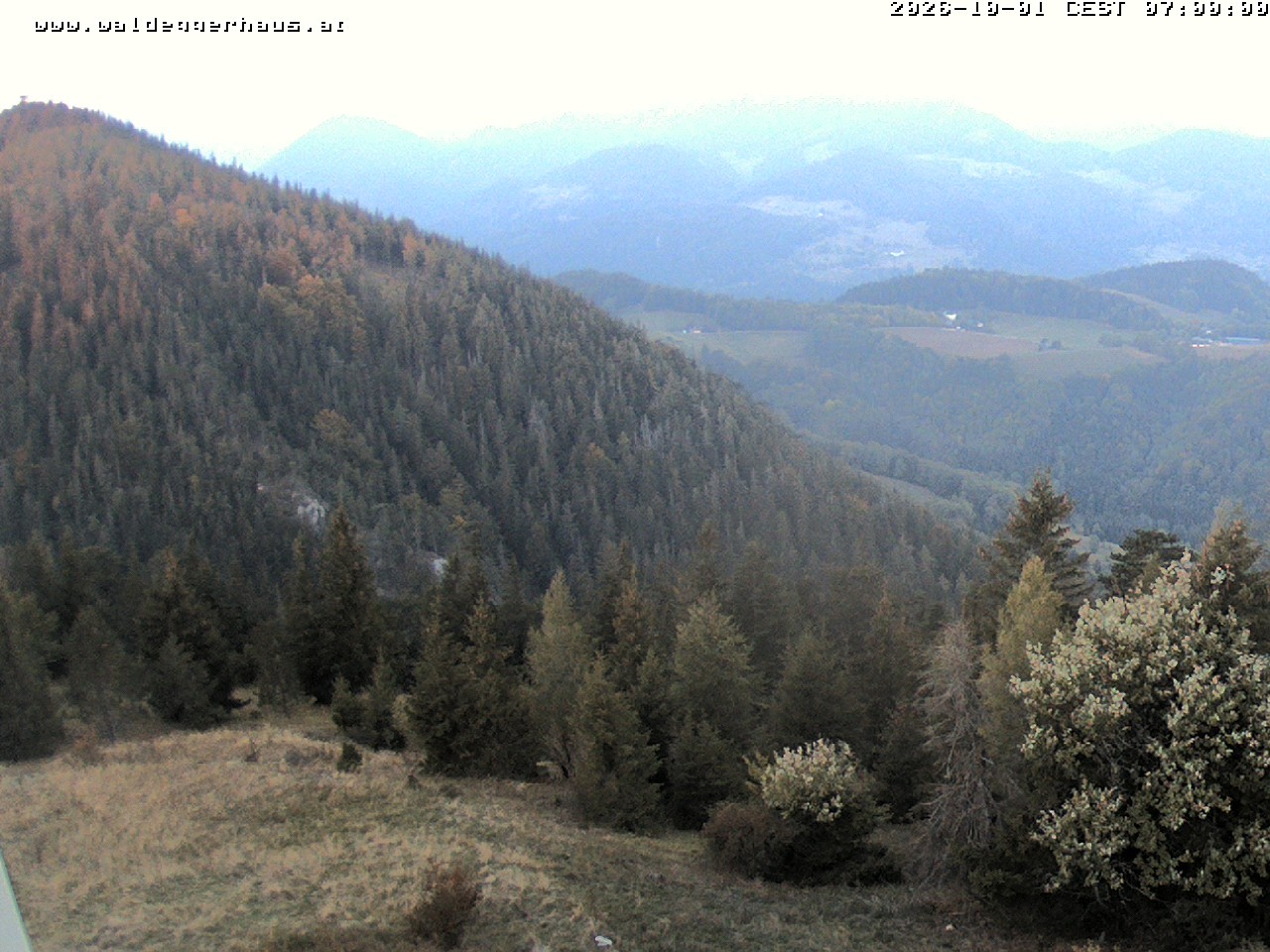 Archiv Foto Webcam Gasthof Waldeggerhaus