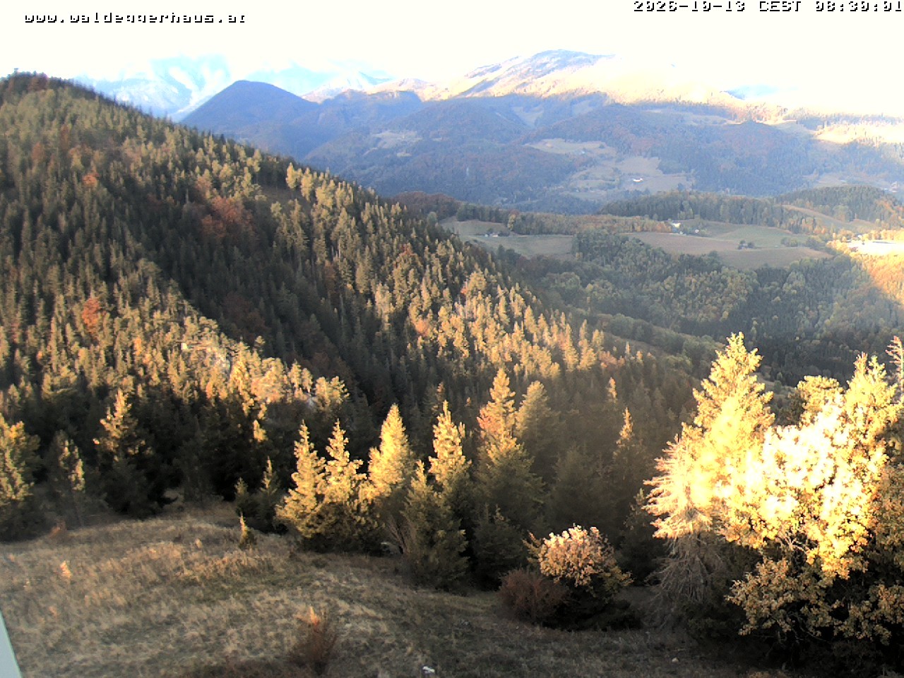 Archiv Foto Webcam Gasthof Waldeggerhaus