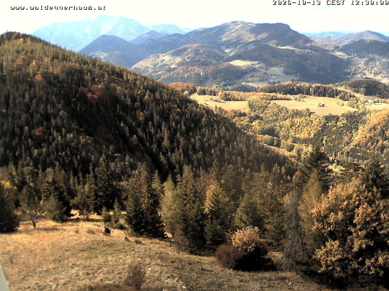 Archiv Foto Webcam Gasthof Waldeggerhaus