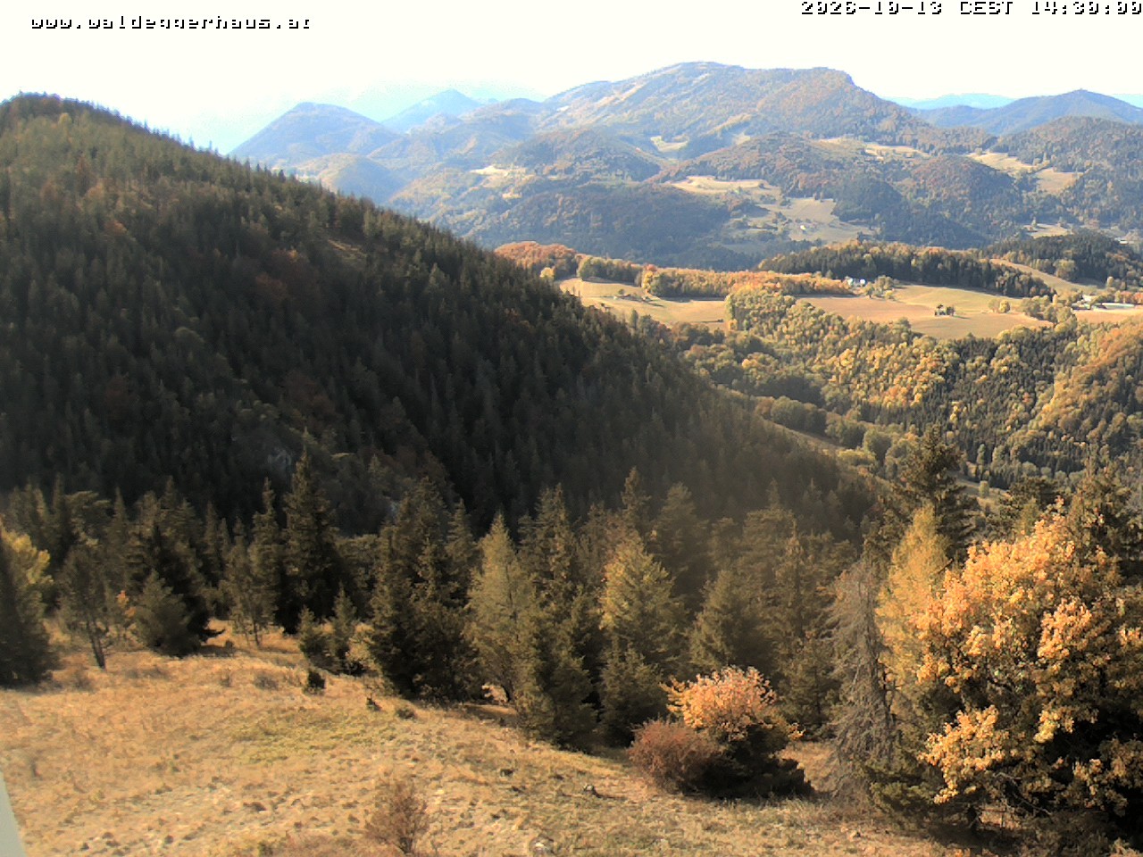 Archiv Foto Webcam Gasthof Waldeggerhaus