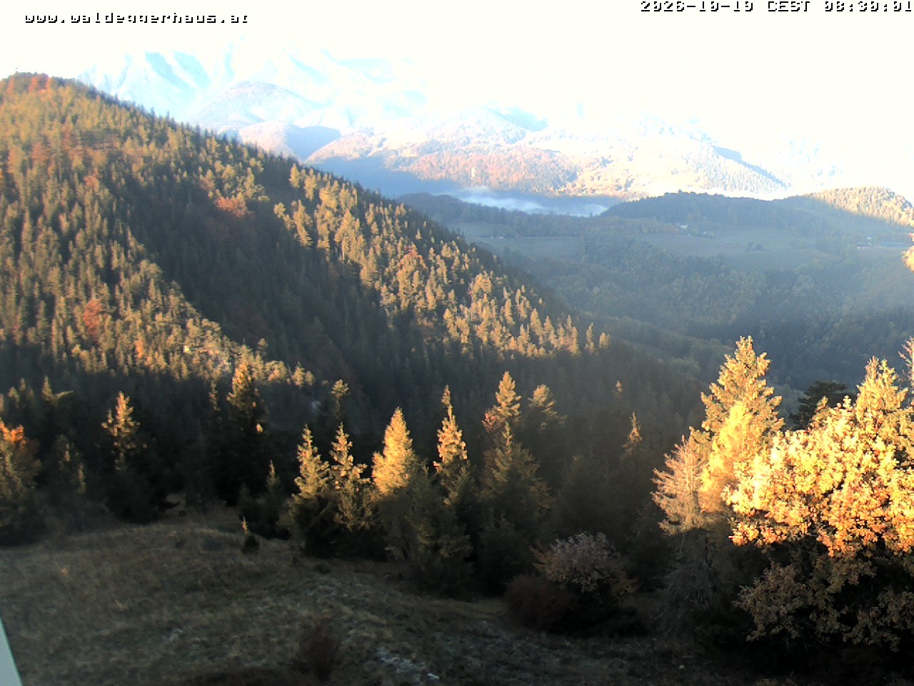 Archiv Foto Webcam Gasthof Waldeggerhaus