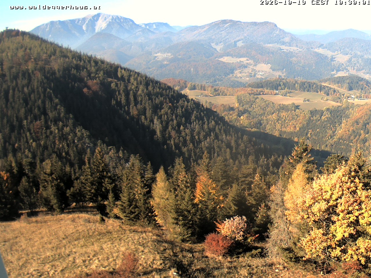 Archiv Foto Webcam Gasthof Waldeggerhaus