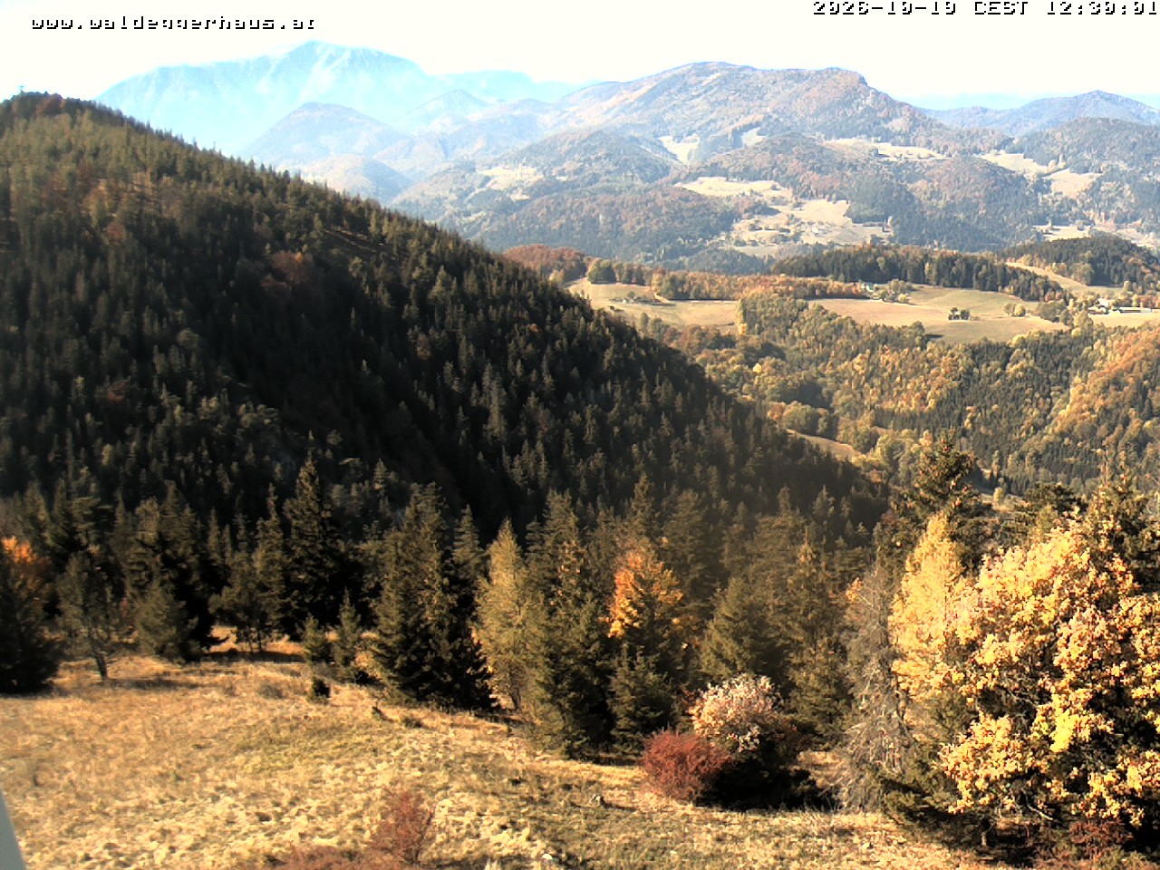 Archiv Foto Webcam Gasthof Waldeggerhaus