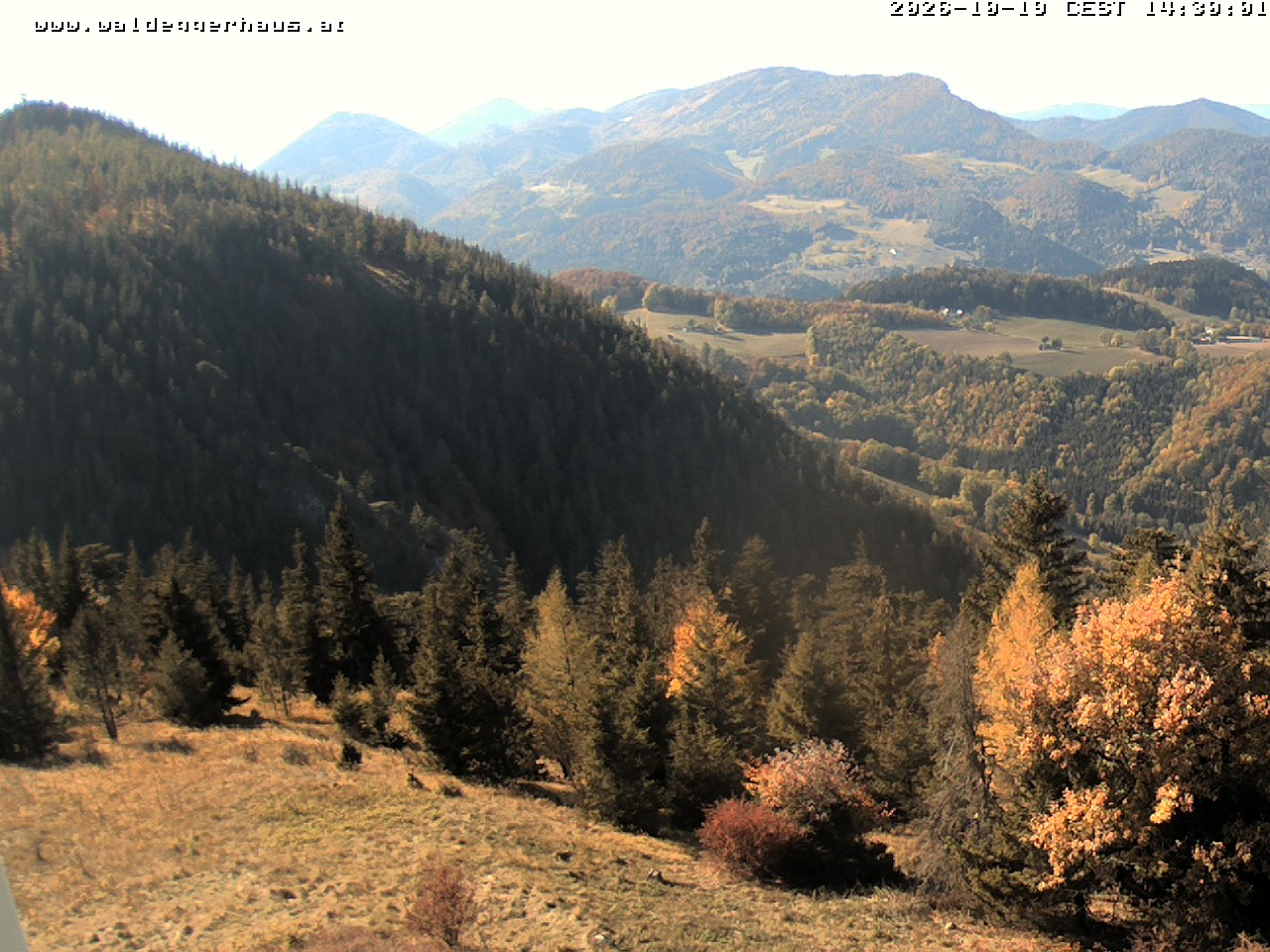 Archiv Foto Webcam Gasthof Waldeggerhaus