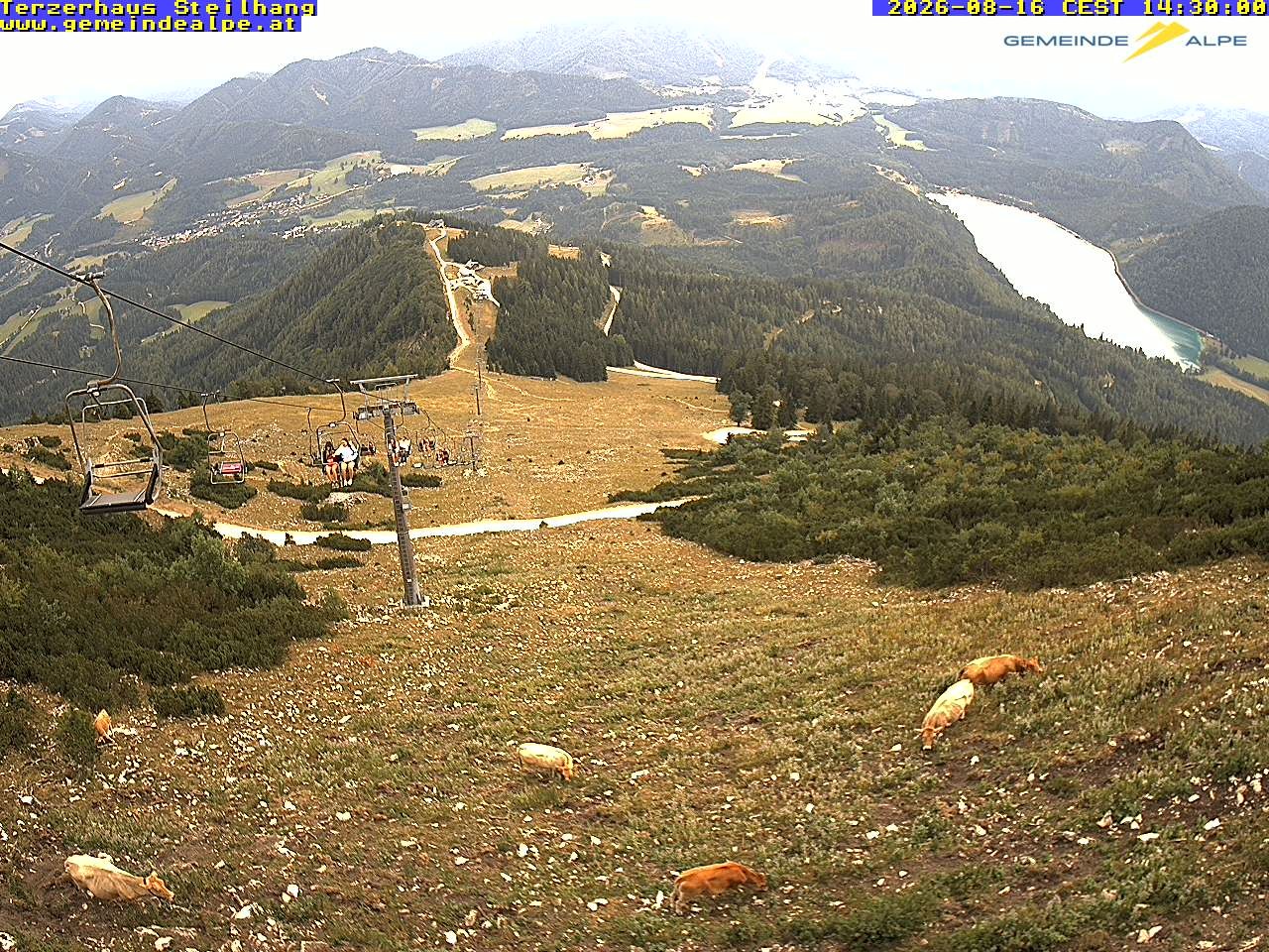 Archiv Foto Webcam Bergstation Gemeindealpe