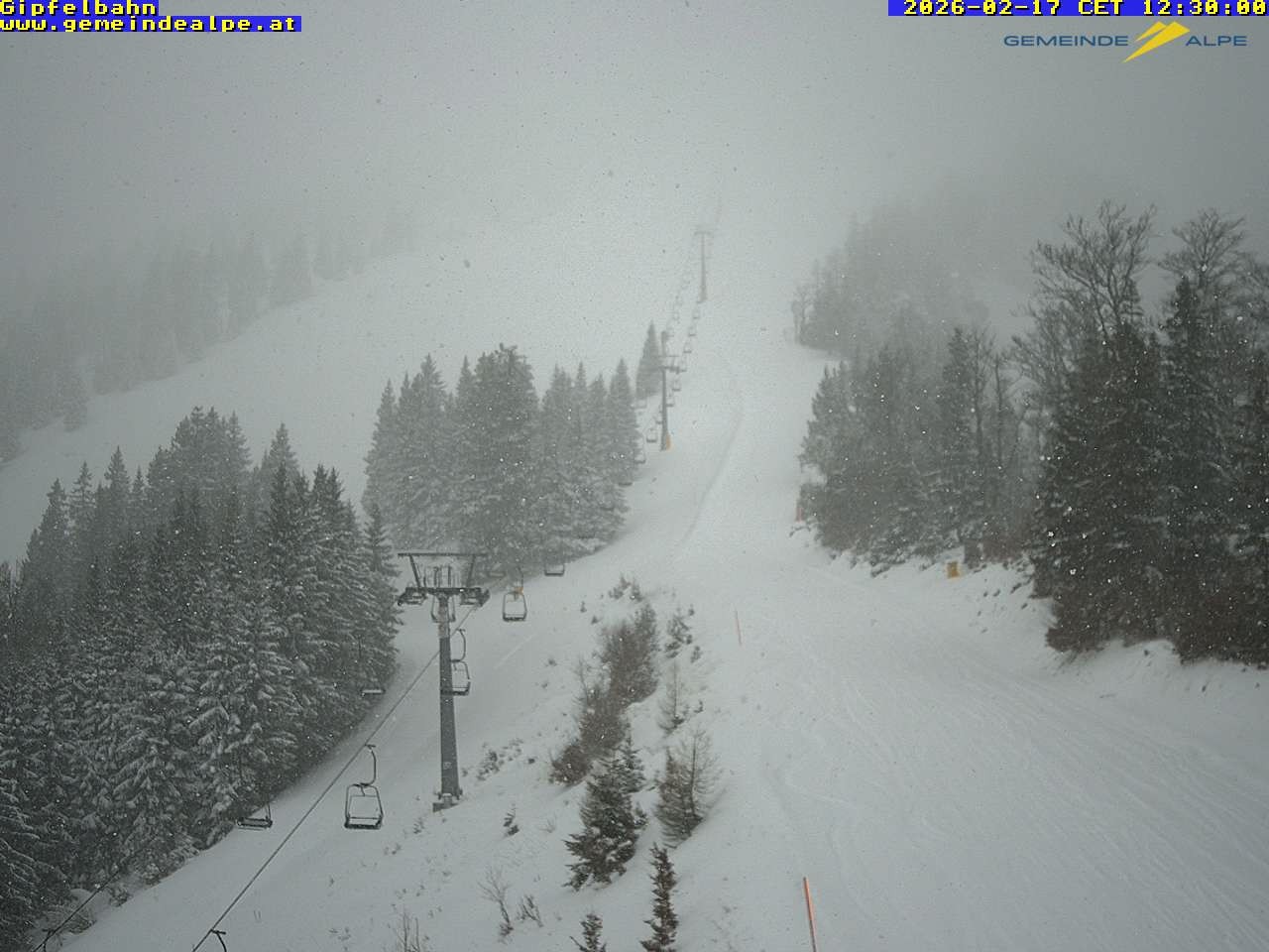 Archiv Foto Webcam Gemeindealpe Gipfelbahn und Gipfel