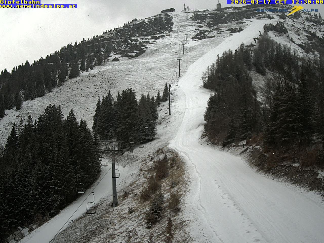 Archiv Foto Webcam Gemeindealpe Gipfelbahn und Gipfel