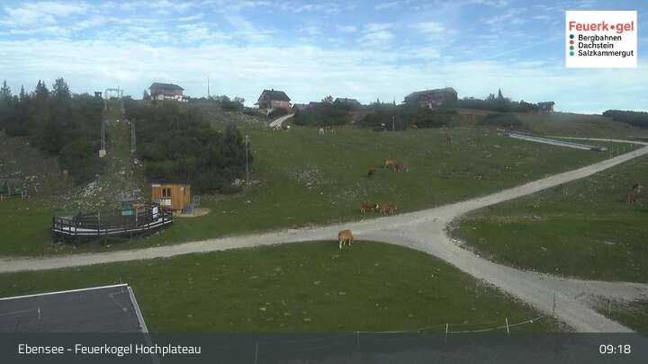 Archiv Foto Webcam Feuerkogel/Ebensee