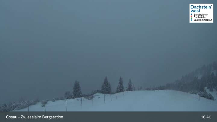 Archiv Foto Webcam Gosau: Zwieselalm Panorama Jet