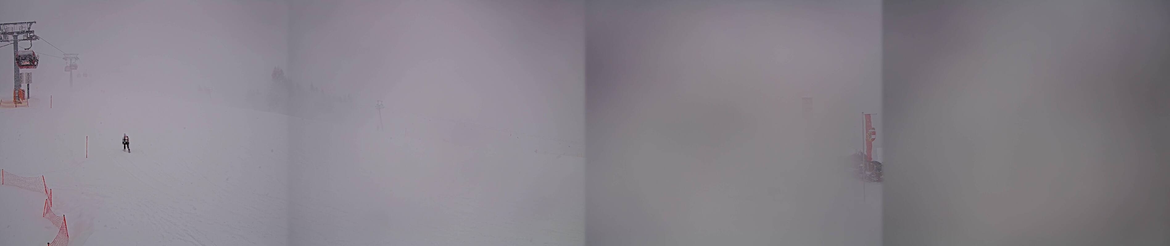 Archiv Foto Webcam Streuböden Fieberbrunn