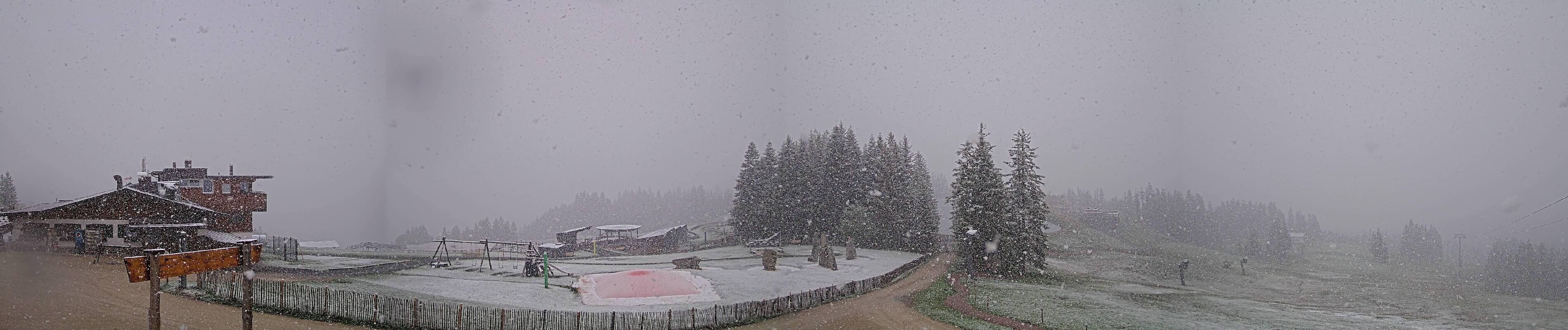 Archived image Webcam Fieberbrunn - Streuböden