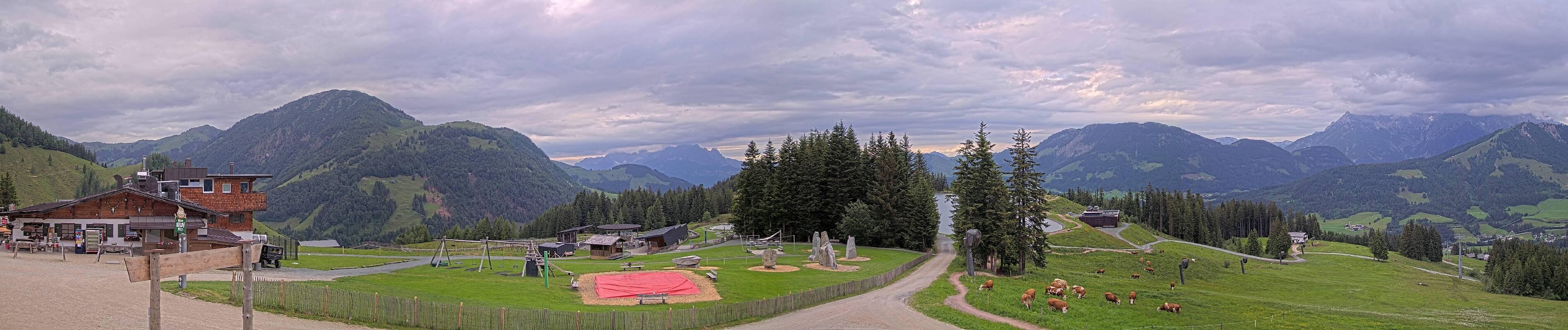 Archiv Foto Webcam Streuböden Fieberbrunn