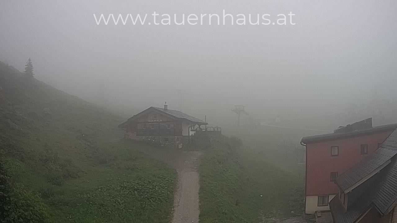 Archived image Webcam alp Planneralm, Styria