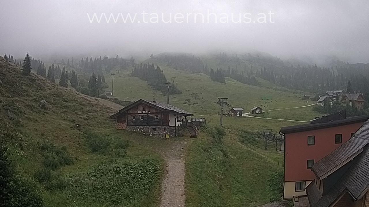 Archived image Webcam alp Planneralm, Styria