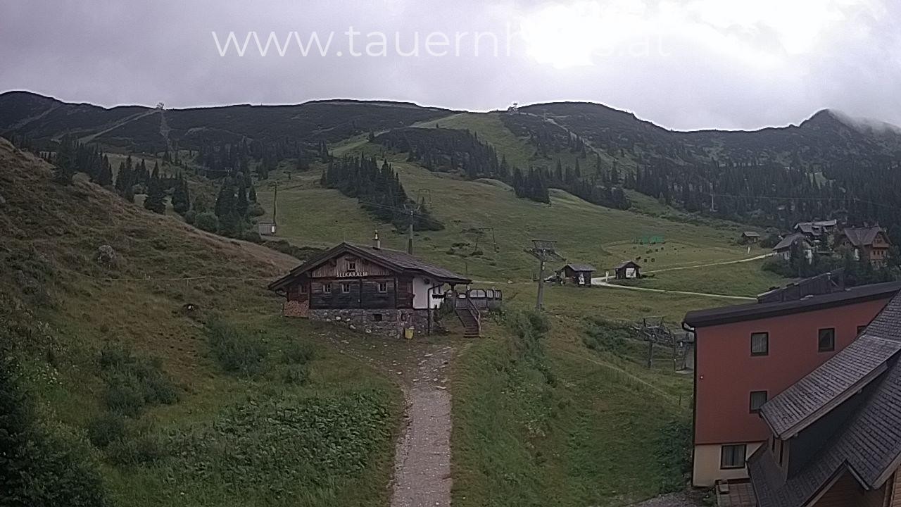 Archived image Webcam alp Planneralm, Styria
