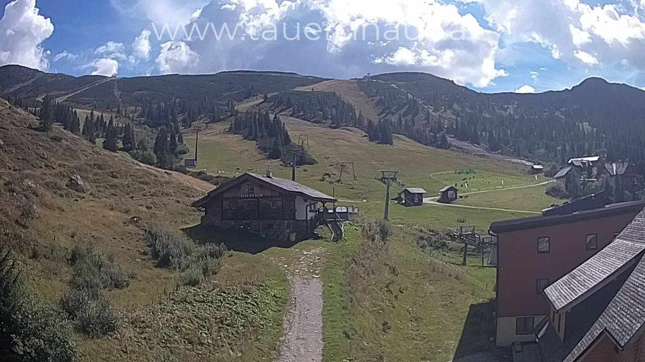 Archived image Webcam alp Planneralm, Styria
