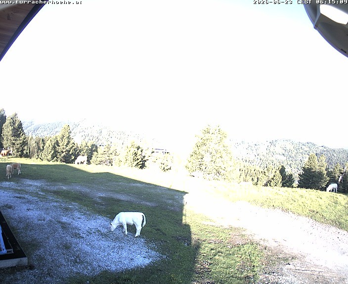 Archiv Foto Webcam Turrachbahn, Turracher Höhe