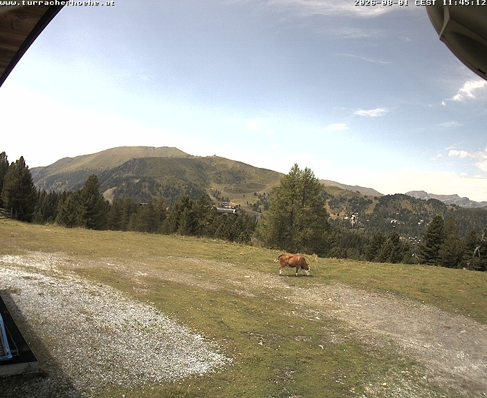 Archiv Foto Webcam Turrachbahn, Turracher Höhe